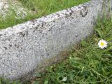 image of grave number 662761